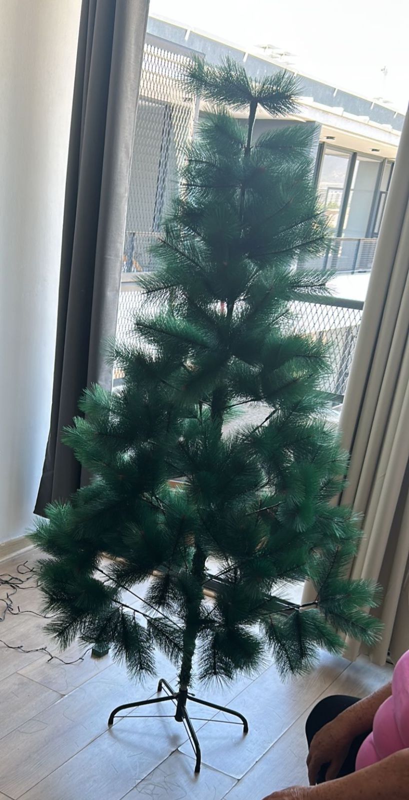 Oferta de Arbolitos de Navidad, Árbol verdes 1.50 mts