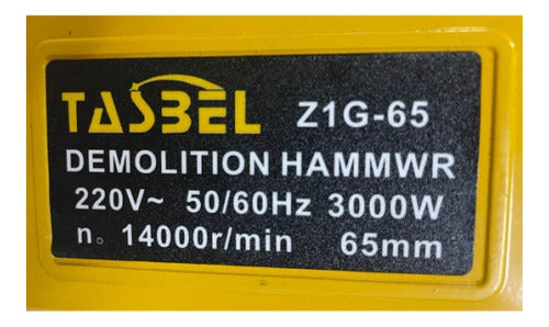 Demoledor Eléctrico 3000w