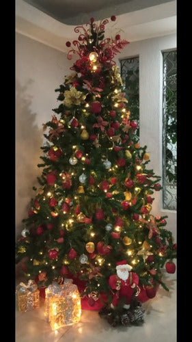 Arbolito Grande 1.80 Mts. X 0.85 Mts.