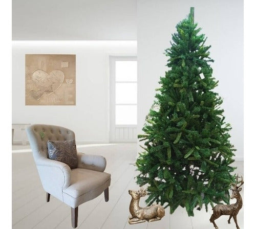 Arbolito Grande 1.80 Mts. X 0.85 Mts.